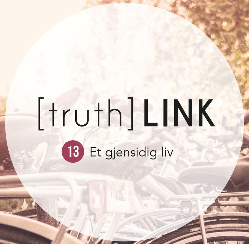 Truth Link 13|utskrift